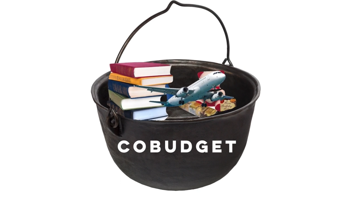 Fun with Co-Created Budgeting Approaches